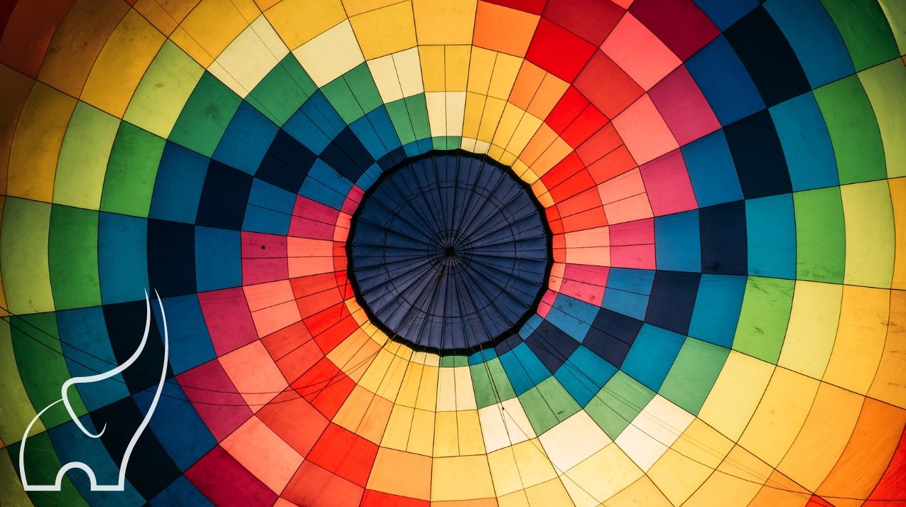 Guide to Auto Liability vs. Full Coverage in the U.S.