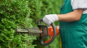The Complete Guide to Gardening Services and Landscaping Solutions  