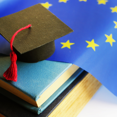 Top Graduate Programs in Europe for International Business and Relations