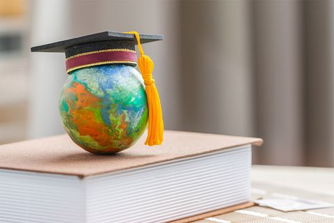 Affordable Study Abroad & Immigration Services: Your Guide to Studying Overseas  