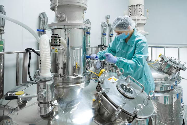 The Comprehensive Guide on Bioreactor